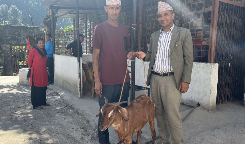 बझाङका कैदीबन्दीलाई युवा नेता महरद्धारा खसी उपहार