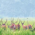 शुक्लाफाँटामा ६ महिनाको अवधीमा ढाई हजार बढीले गरे भ्रमण