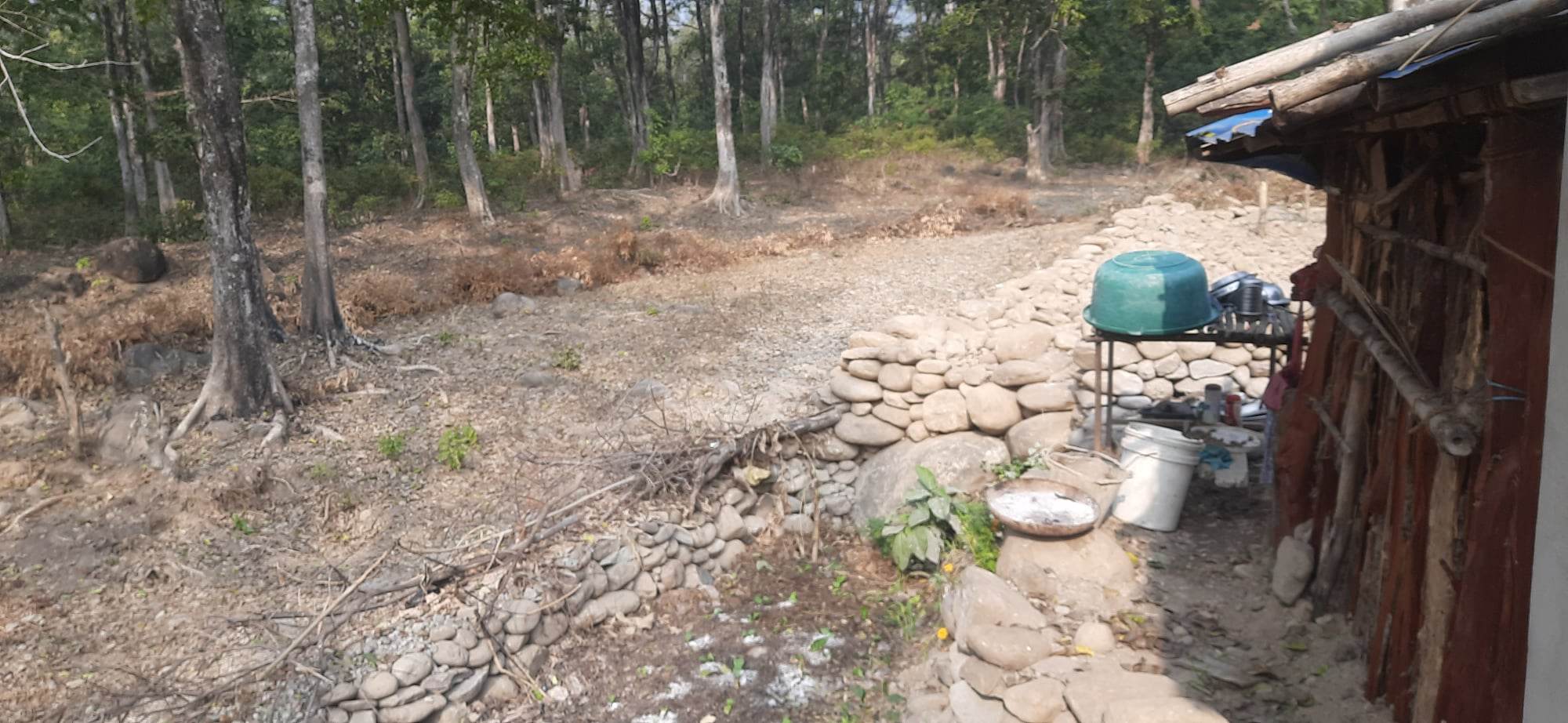 गोदावरीमा जग्गा नापी हुन थालेपछि वन अतिक्रमण बढ्यो