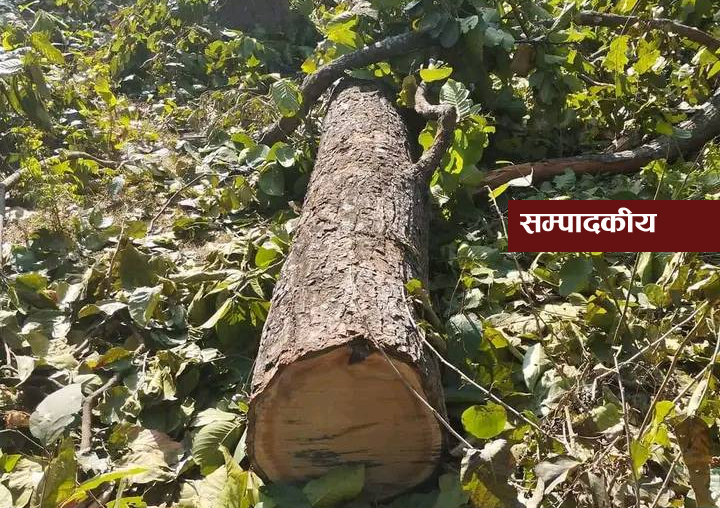 वन संरक्षणमा ध्यान दिऔं