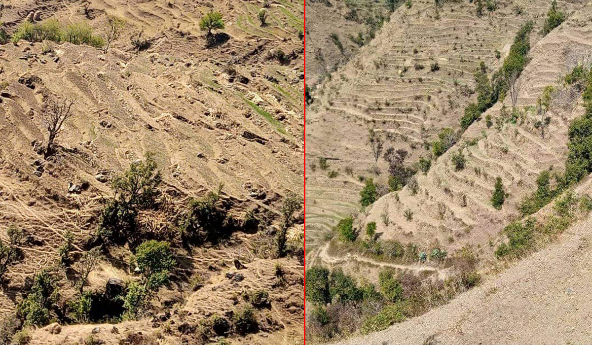 बझाङमा खाद्य संकट हुने चिन्ता