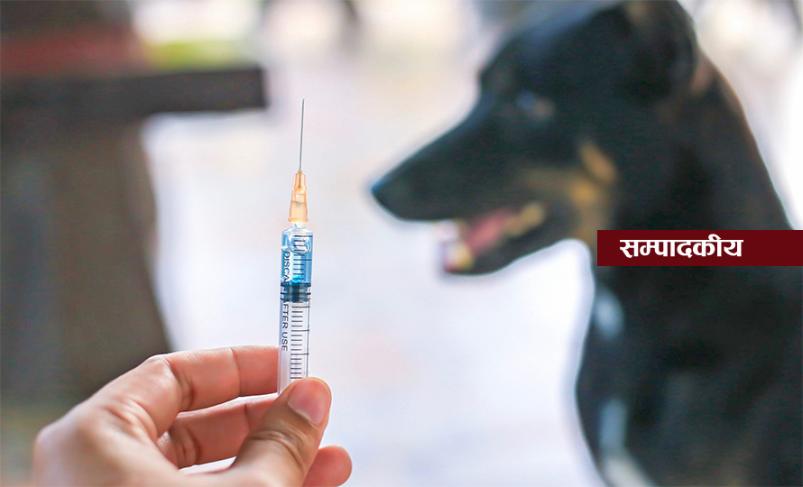 रेबिजबाट बचौं र बचाऔं