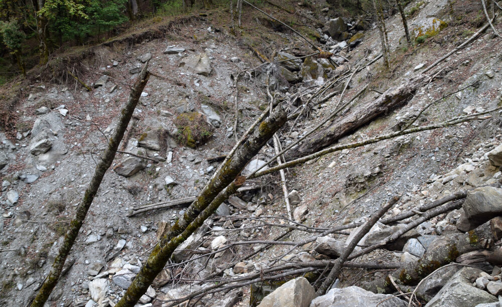 बझाङमा पहिरोग्रस्त क्षेत्रमा नै व्यापक वन फँडानी