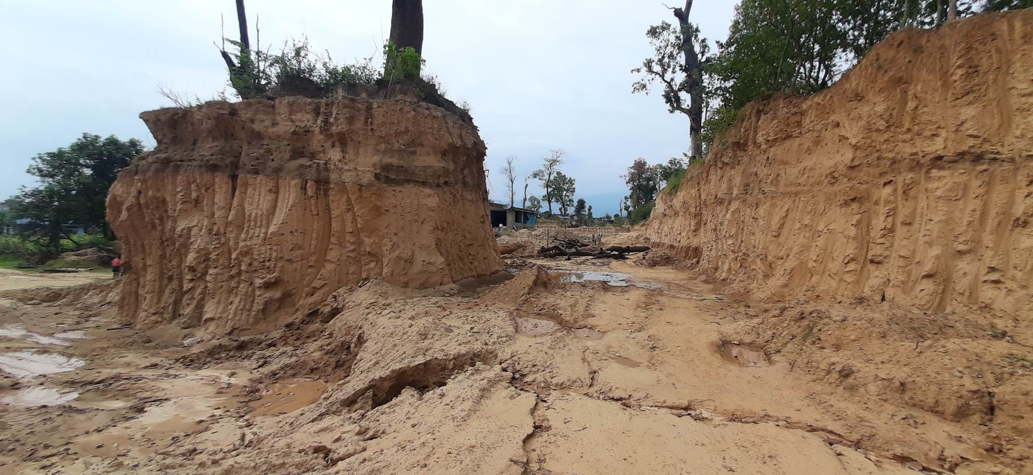 गोदावरीमा वनबाट अवैध माटो उत्खनन् गरिएपछि बस्ती जोखिममा