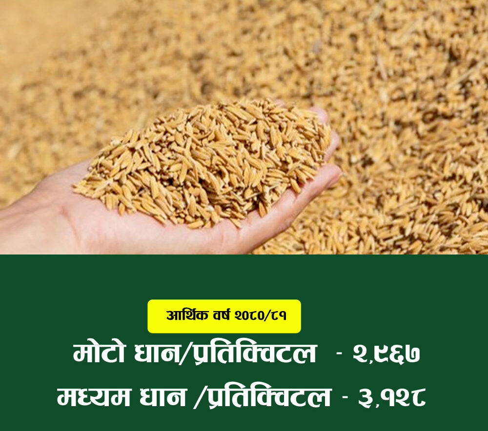 धानको न्यूनतम समर्थन मूल्य तोकियो