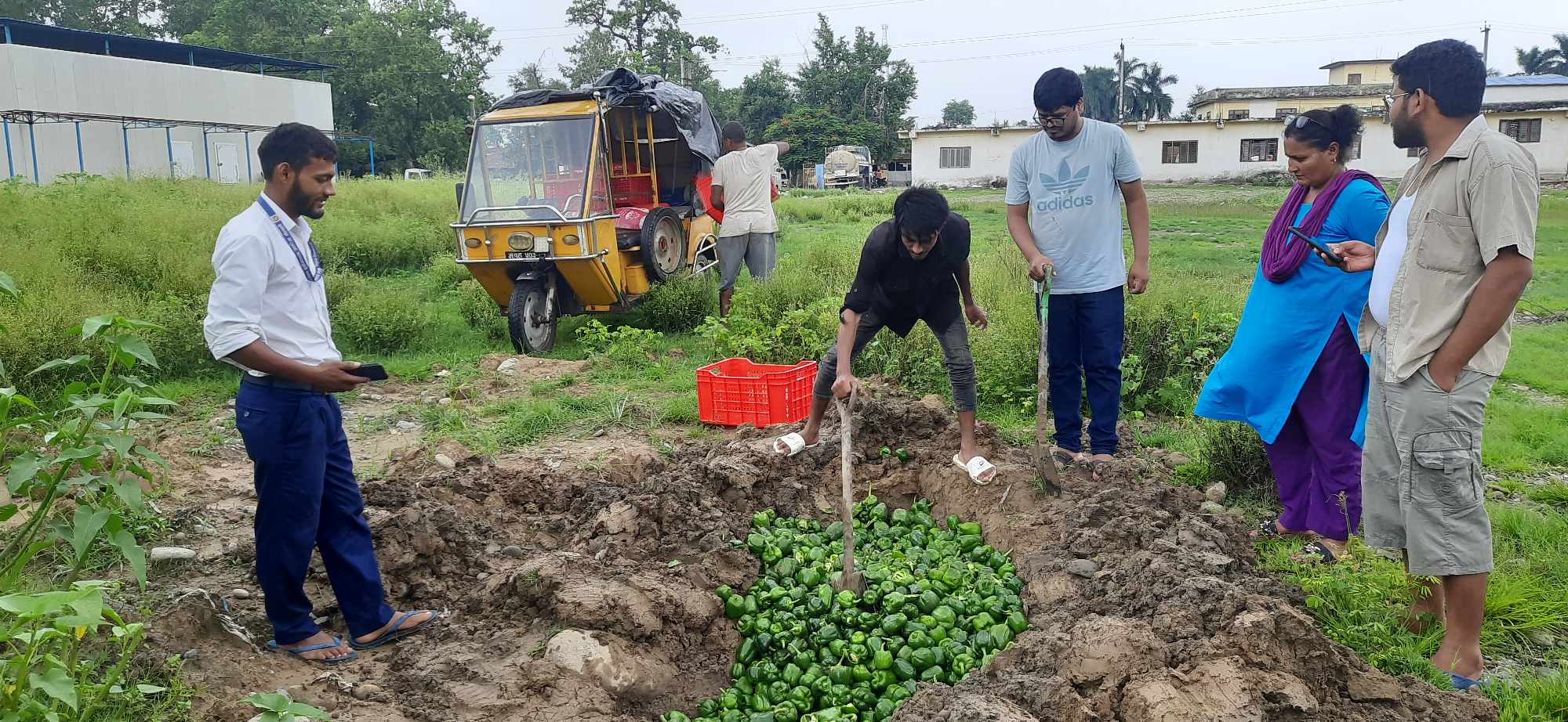 अत्तरियामा फेरी तरकारीमा बिषादी भेटिएपछि नष्ट गरियो