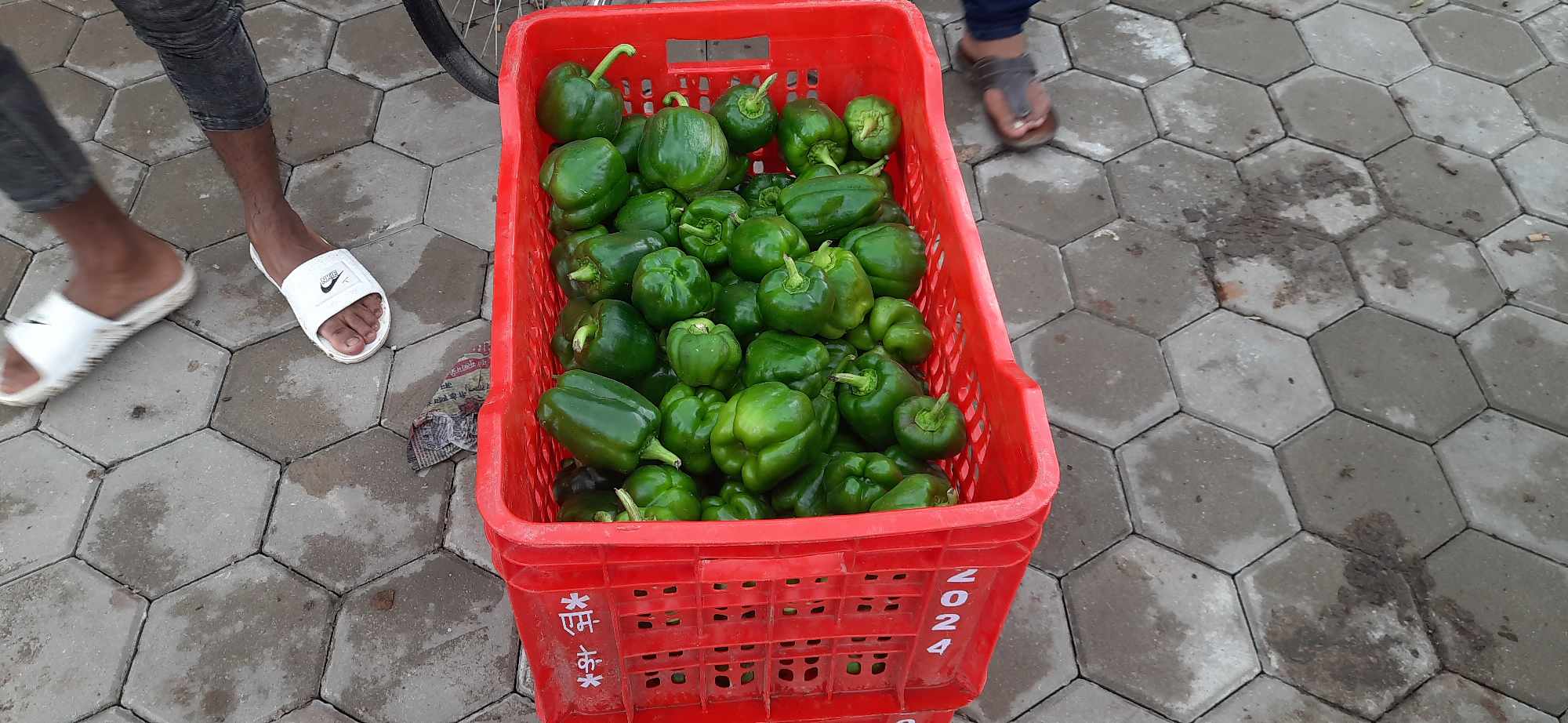 भान्सामा बिषादीयुक्त तरकारी पुग्ने जोखिम बढ्यो