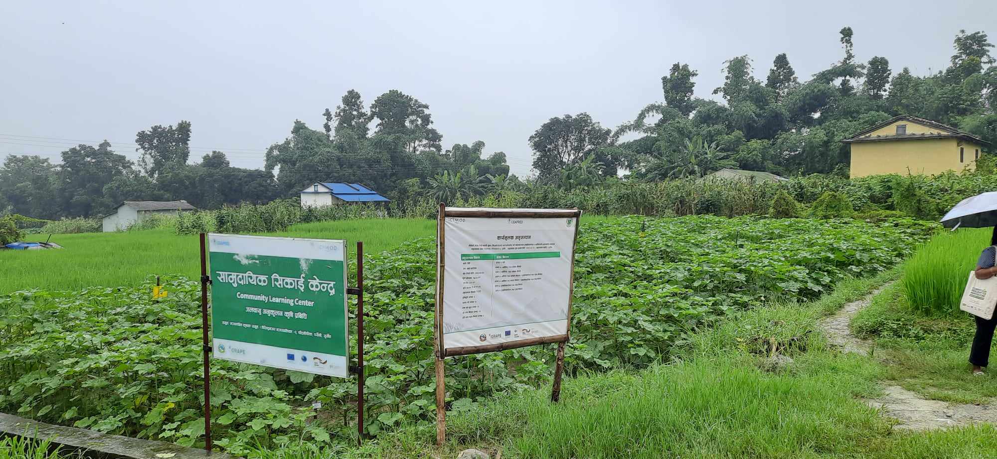 अनुकुलन खेती गर्दा लगानी घट्यो, आम्दानी बढ्यो