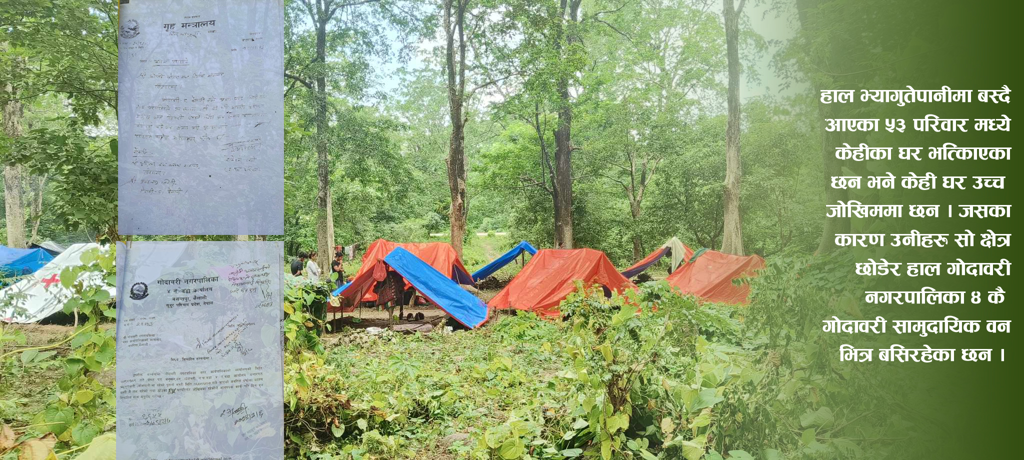 डेढ दशकदेखि बस्ती स्थानान्तरणको माग पुरा भएन, पीडितको जंगलमा बास