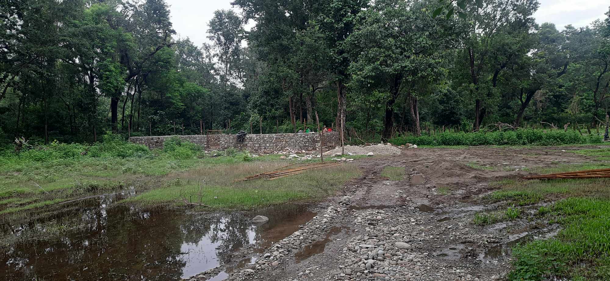 स्याउलेमा महायज्ञ लगाउँदा पनि छाडा चौपायाको समस्या उस्तै