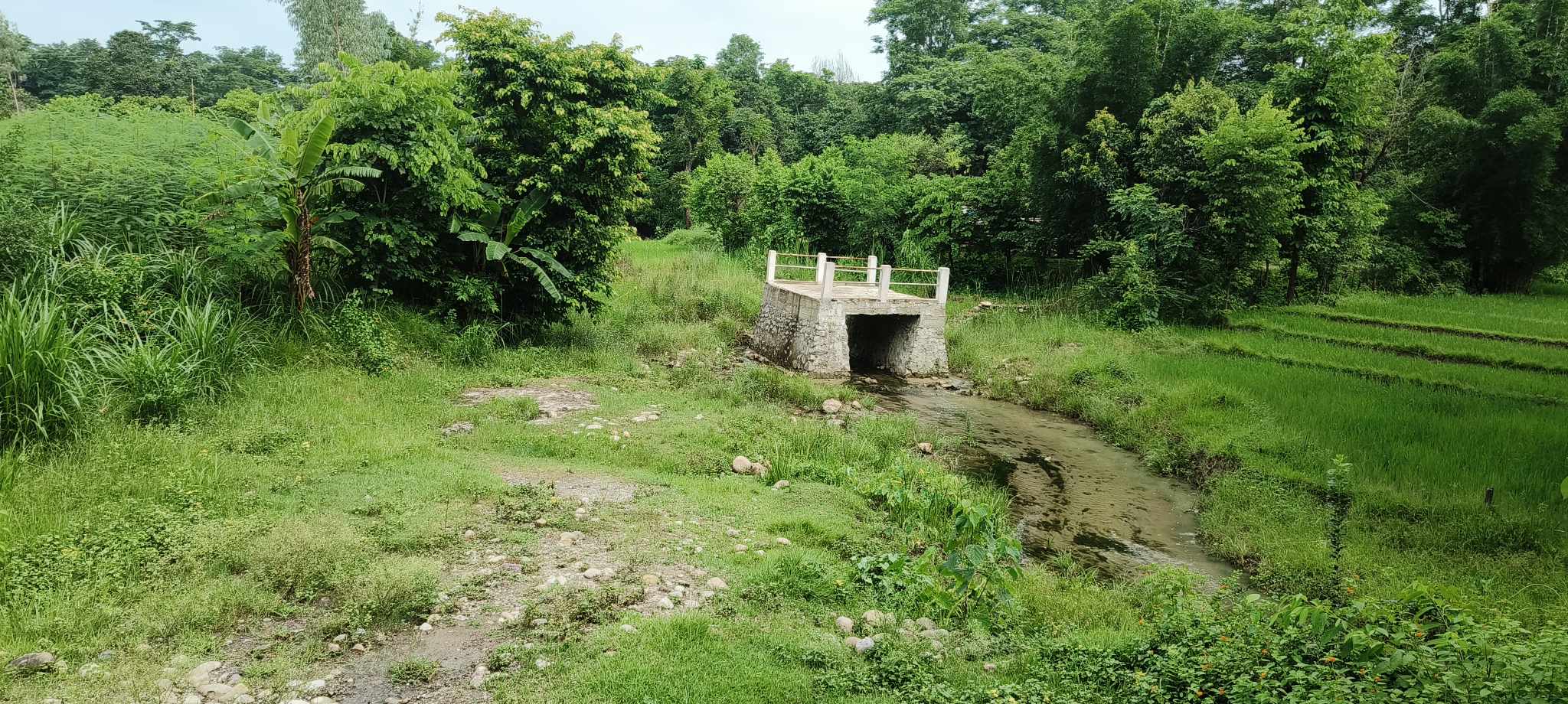 कृष्णपुरका २ भाईरल कल्भर्ट : सडक नभएका ठाउँमा लाखौं खर्च