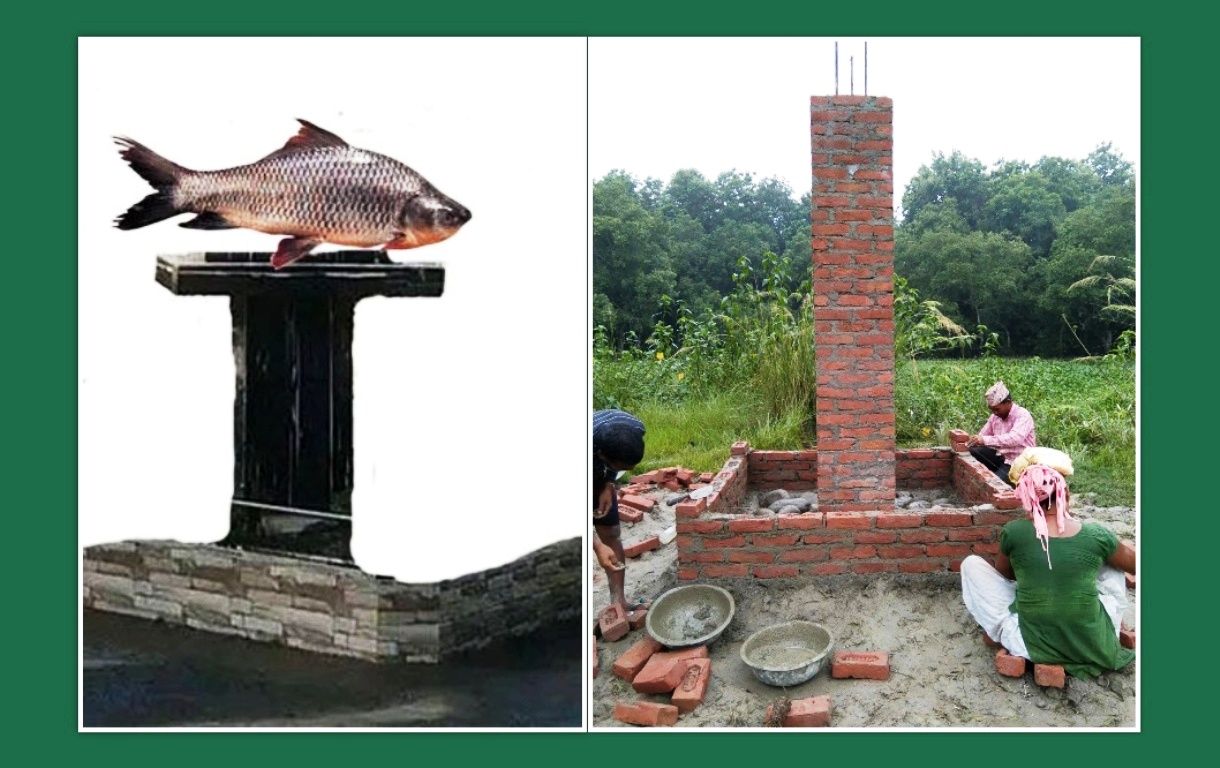 पर्यटन प्रर्वद्धनका लागि पुनर्वासको प्यारातालमा ‘माछाको प्रतिमा’ निर्माण हुदै