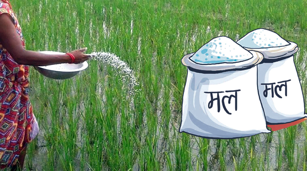 कञ्चनपुरमा रासायनिक मलको परनिर्भरता हट्यो
