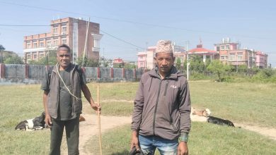 खसीबोका बिक्री नहुँदा किसान निराश