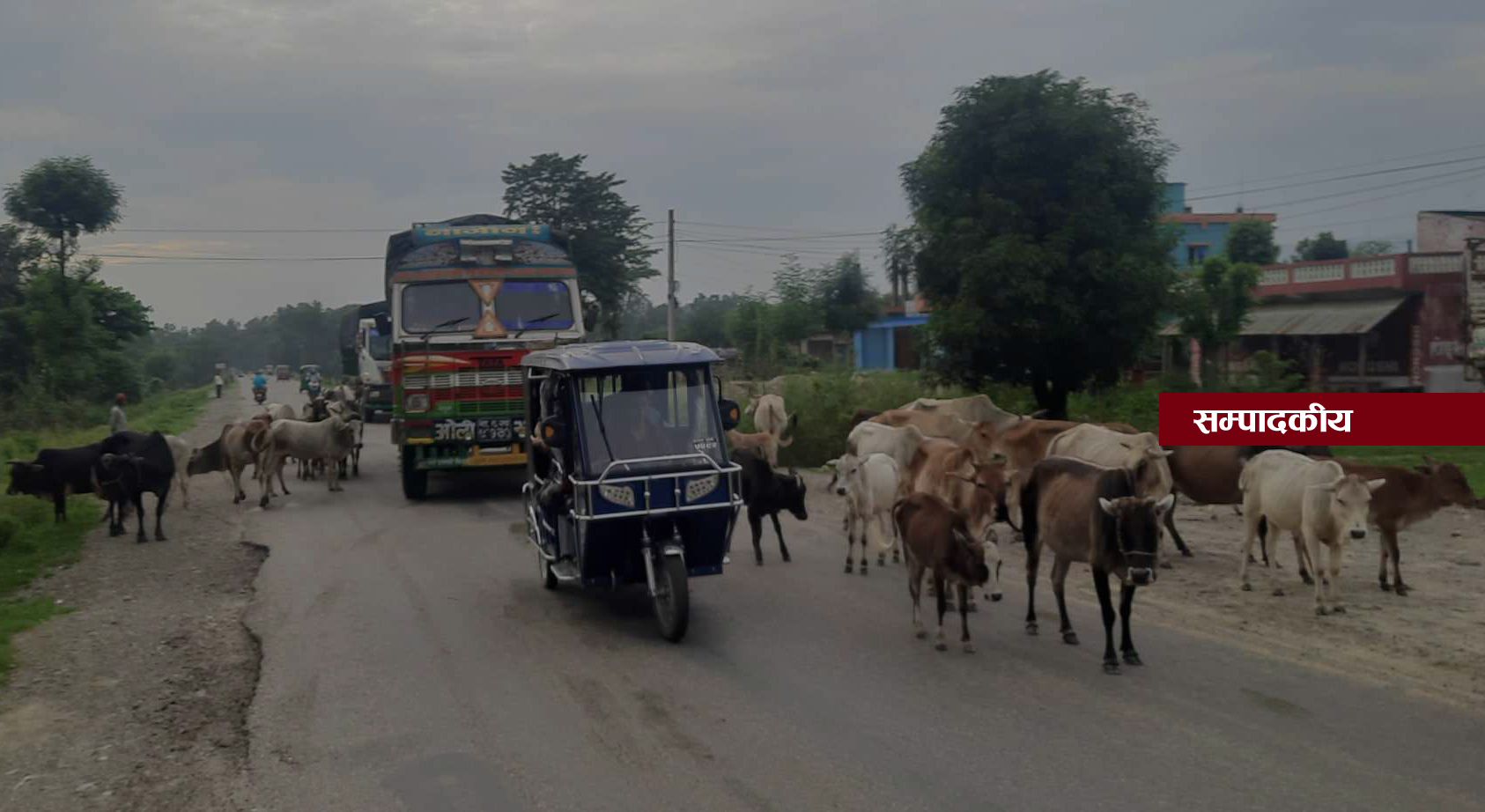 छाडा चौपाया नियन्त्रणमा ध्यान देउ