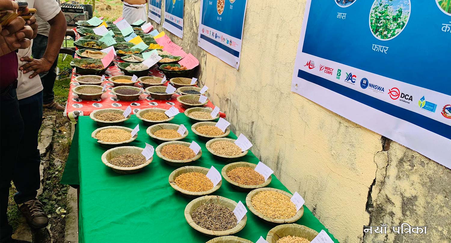कञ्चनपुरको बेदकोटमा मौलिक रैथाने परिकार प्रदर्शन