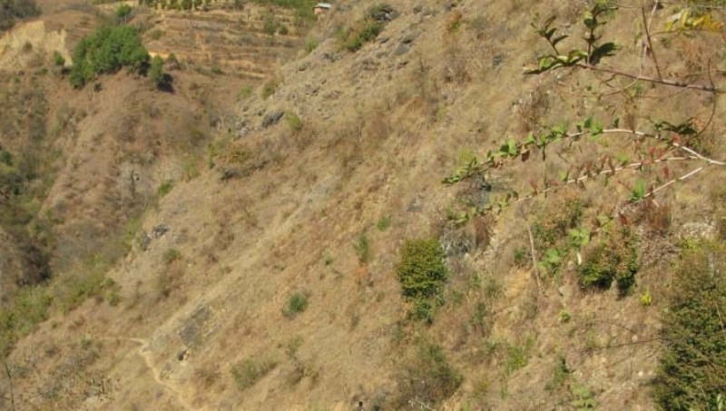 बझाङमा घाँस काट्ने क्रममा लडेर एक महिला घाइते