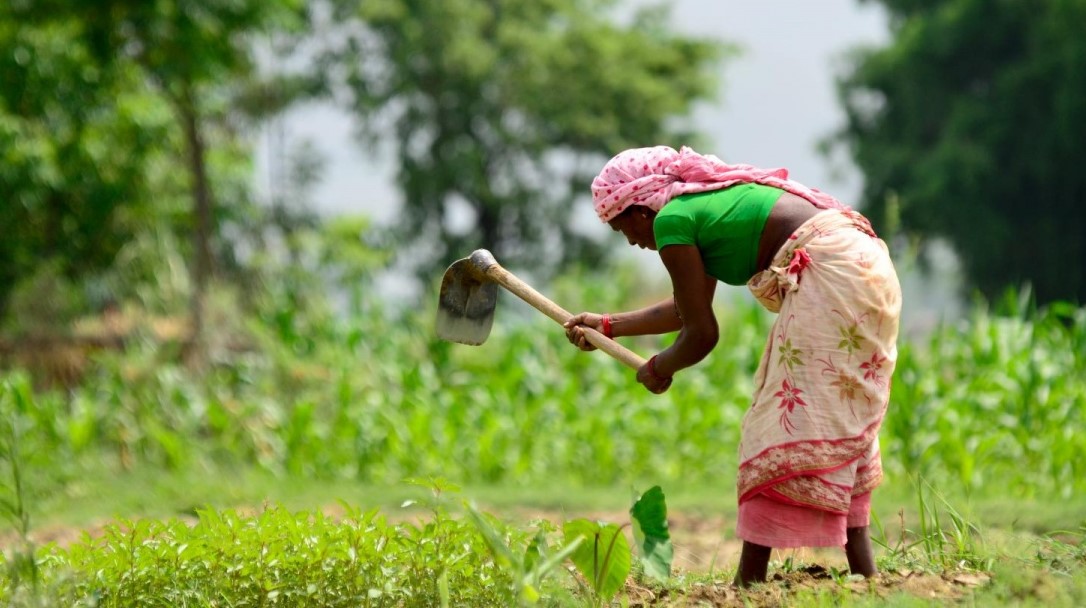 बाग्मती प्रदेशमा ५६ प्रतिशत परिवारलाई कृषिको आम्दानीले खानसमेत पुग्दैन