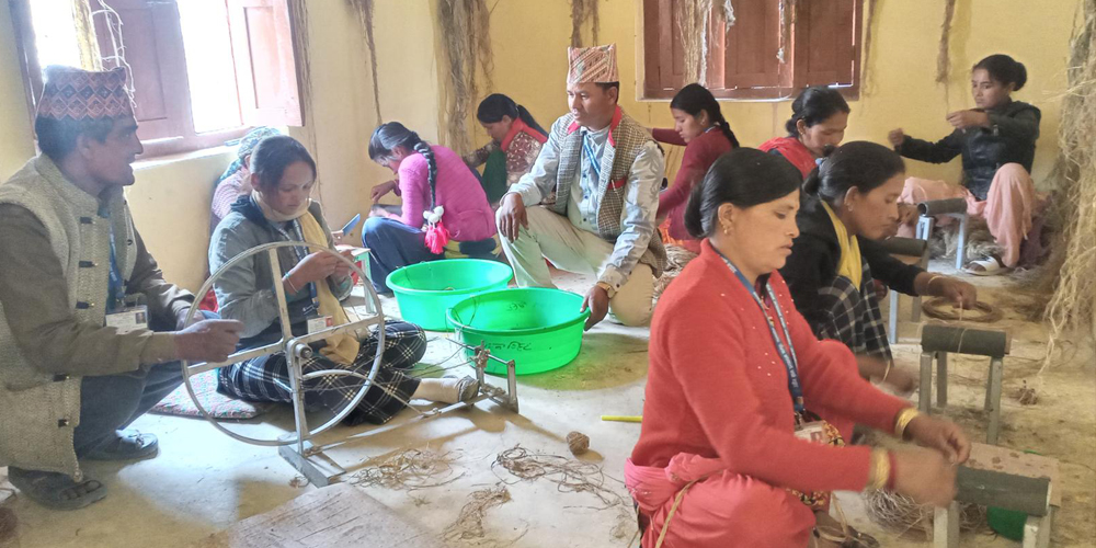 खेर गएको अल्लोबाट आयआर्जन गर्दै बझाङका महिला