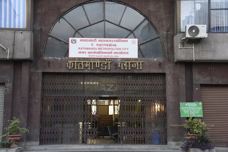 काठमाडौँ महानगरले तीन हजार बढी कुकुरको बन्ध्याकरण गर्‍यो