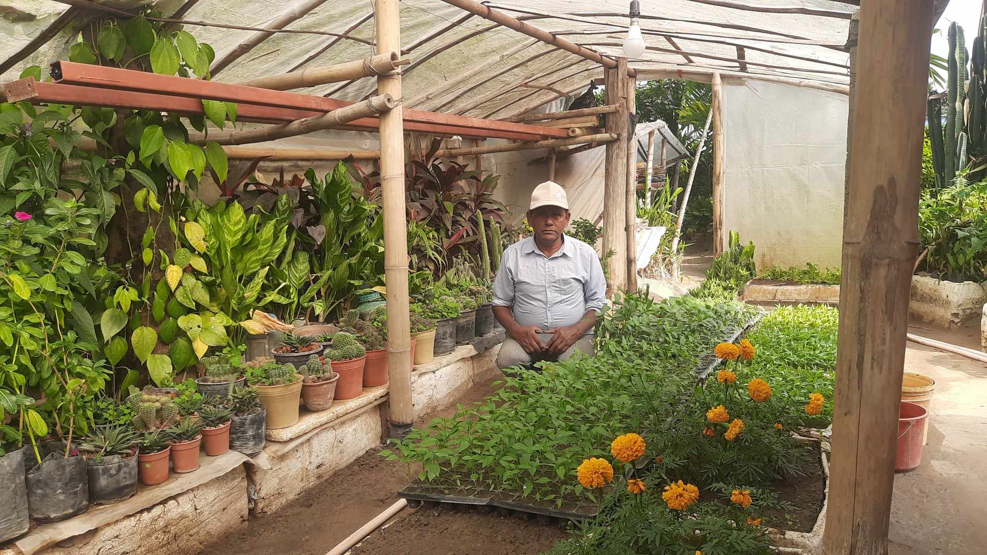 घरबासलाई नर्सरी बनाएर वार्षिक ५ लाख आम्दानी गर्दै गोदावरीका खडायत