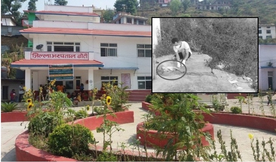 चिहान कुरिरहेको शिशुको शव