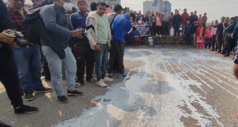 सडकमा दूध पोखेर विरोध