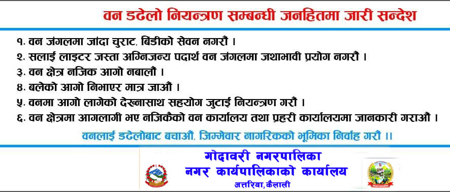 godawari nagarpalika dadhelo