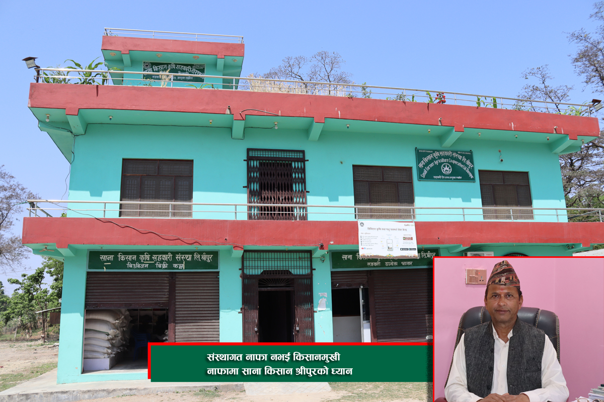 संस्थागत नाफा नभई किसानमुखी नाफामा साना किसान श्रीपुरको ध्यान