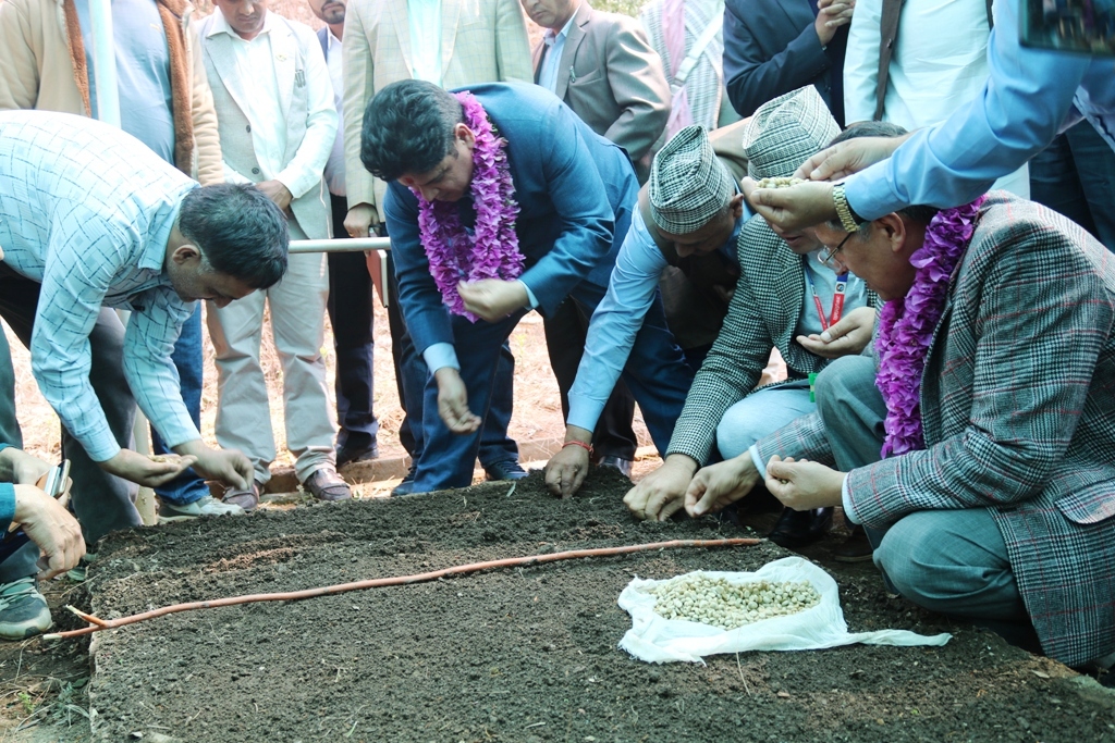 बैतडीका २ पालिकाबाट कफीखेती सुरु गरिँदै, मन्त्री भण्डारीले रोपे बिउ