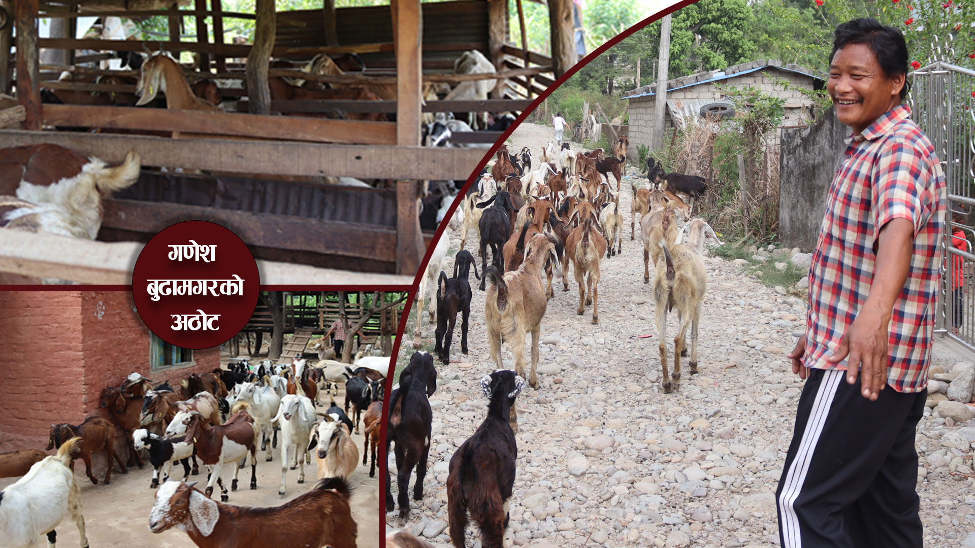 ‘विदेश जाऊँ भन्नेलाई स्वदेशमै गरेर देखाउनु छ’