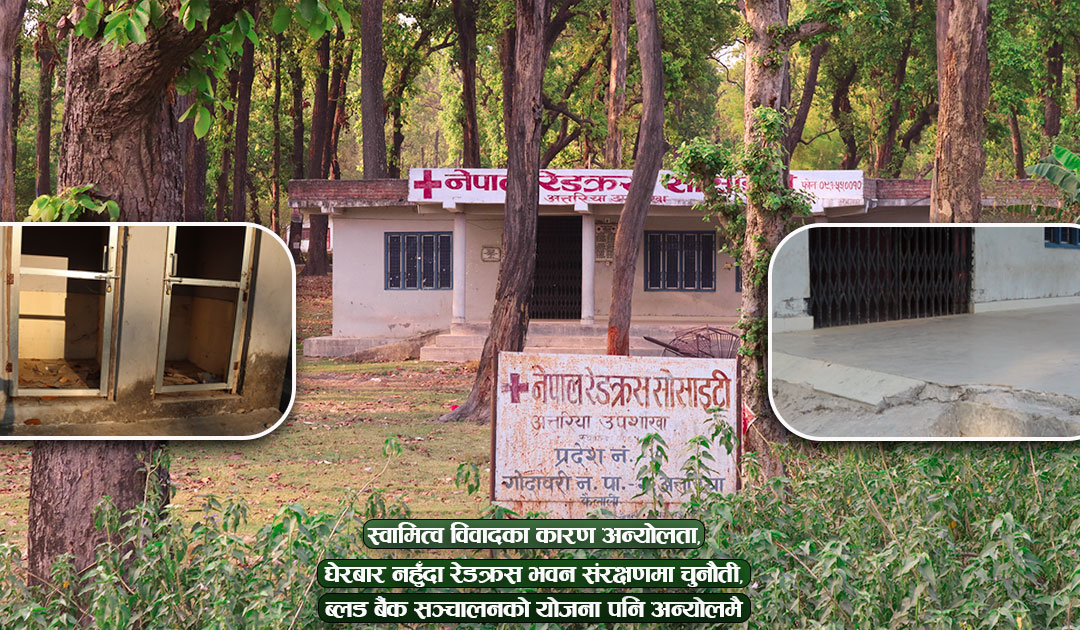 रेडक्रस आफै पीडामा, संरचना जोगाउन चुनौती