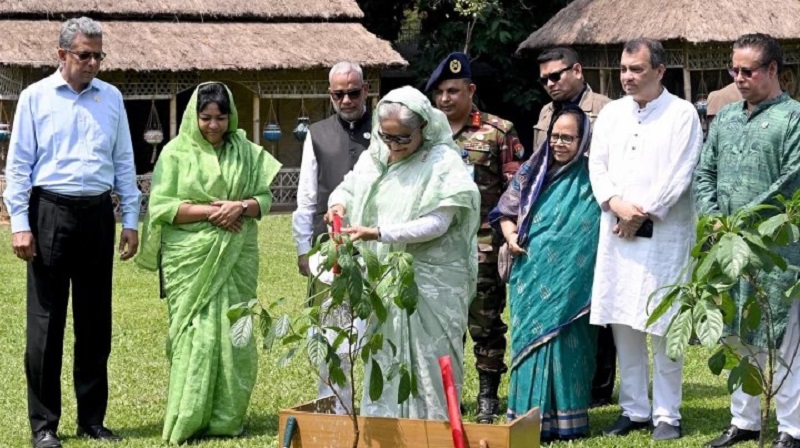 बंगलादेशमा ‘मेगा वृक्षारोपण’ अभियान