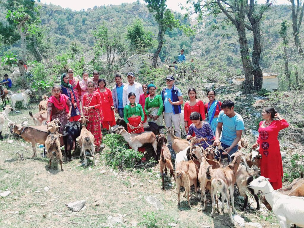 डोटीको बोगटानका ३३ जनालाई बाख्रा वितरण