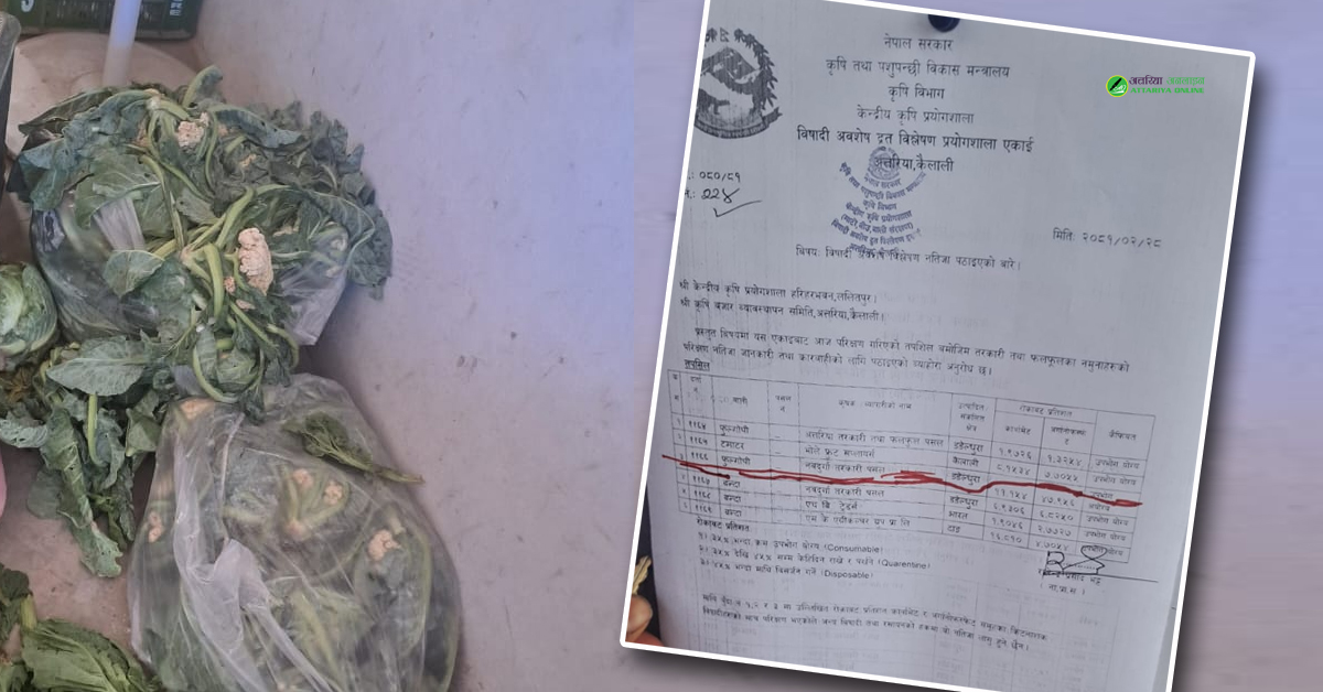 डडेल्धुराबाट आयातीय काउलीमा विषादी भेटियो