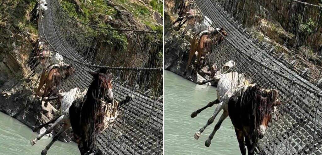 खच्चड फसेको पुलको मर्मत भएन
