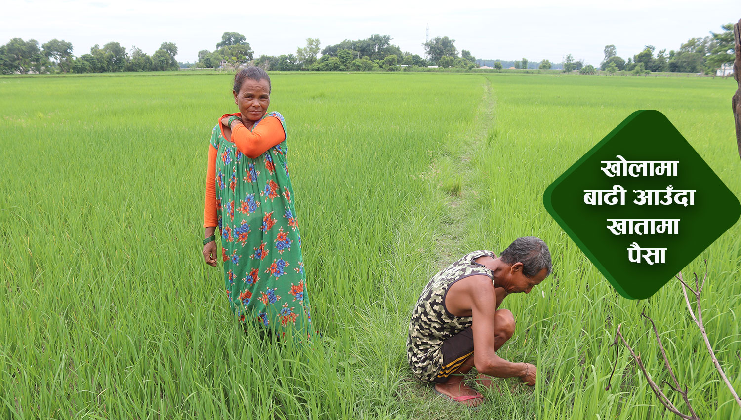 कैलालीमा बाढी बिमा गरेका किसान ढुक्क
