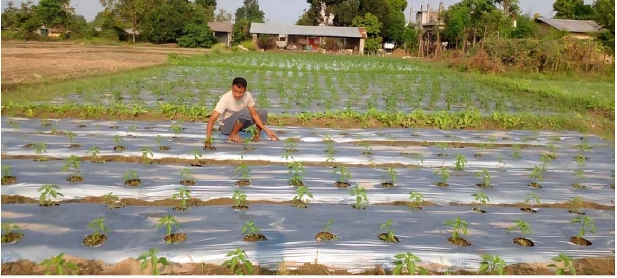 कृषिबाट भाग्य चम्काएका भागीराम