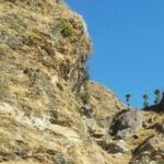 डडेल्धुरामा भीरबाट लडेर एक महिलाको मृत्यु