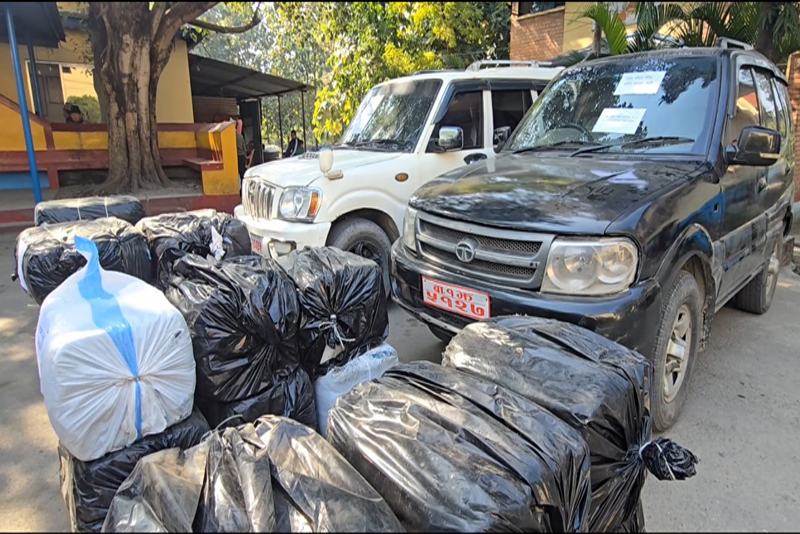 सरकारी नम्बर प्लेट भएका गाडीबाट ६९० किलो गाँजा बरामद
