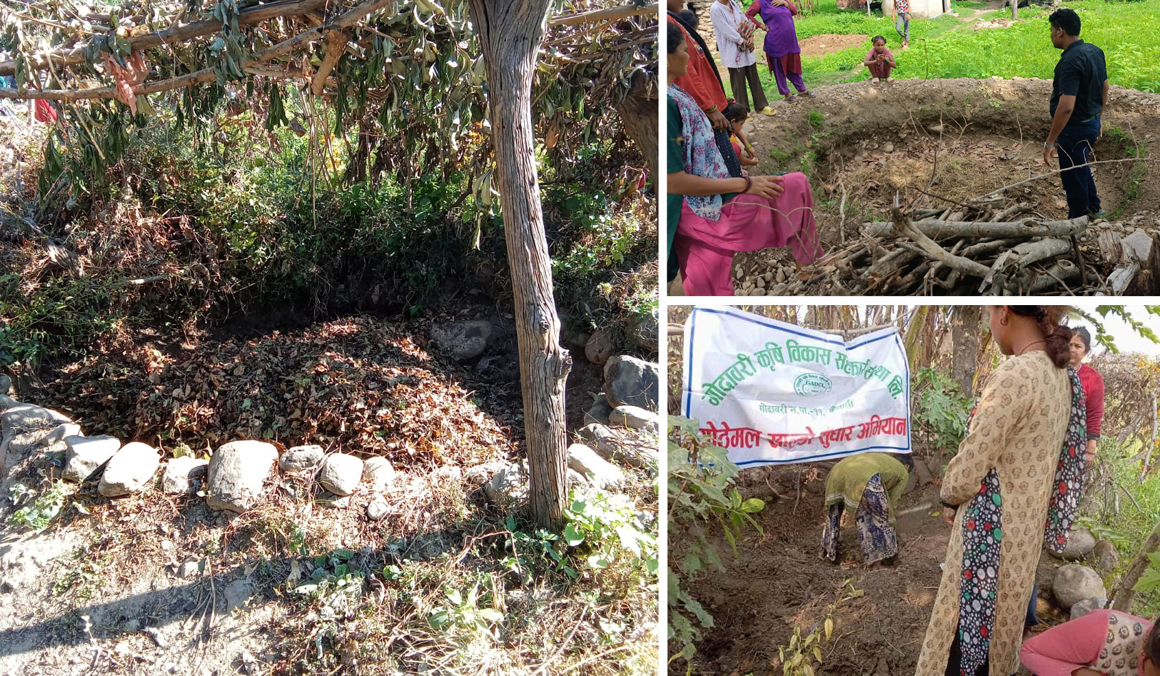 गोदावरीमा सुधारिएका २७२ गोठे मल खाल्डा निर्माण