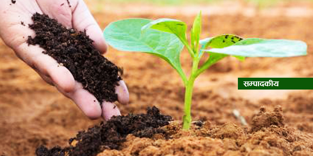 प्राङ्गारिक मलको प्रयोग गरौँ 