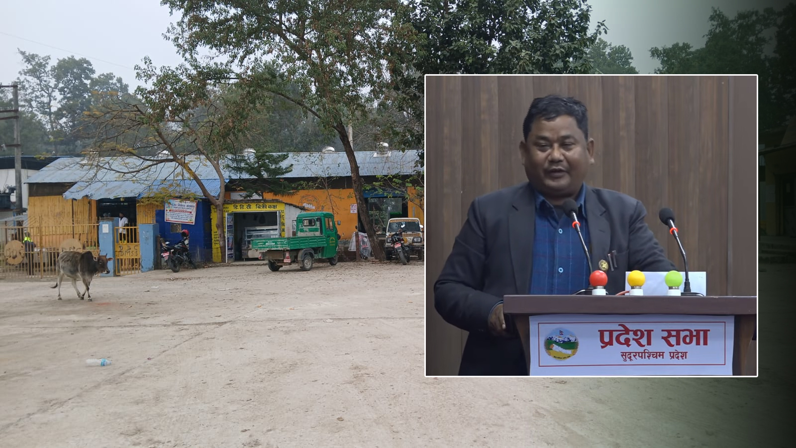 डीडीसीको मनोपोलीले सुदूरपश्चिमको दूध अन्य प्रदेशमा गइरहेको छ : पूर्व मन्त्री चौधरी