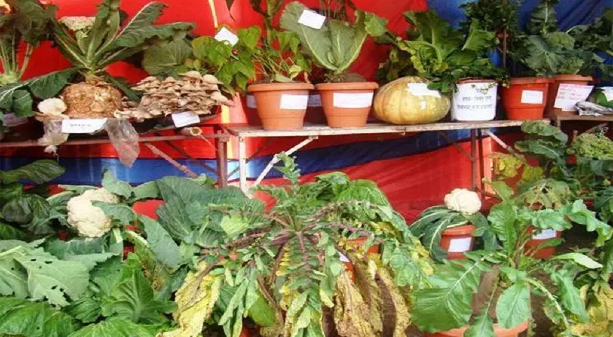 महाशिवरात्रिमा बैतडीका दुई स्थानमा कृषि प्रदर्शनी मेला लाग्ने