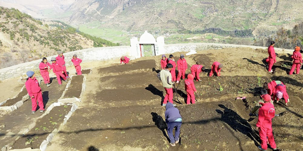 बाजुराका विद्यार्थीलाई सिकाईंदै तरकारी खेती