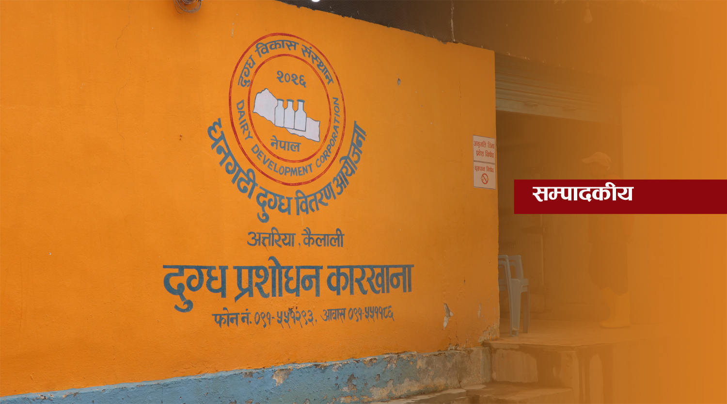 डीडीसी अन्त नजाओस्