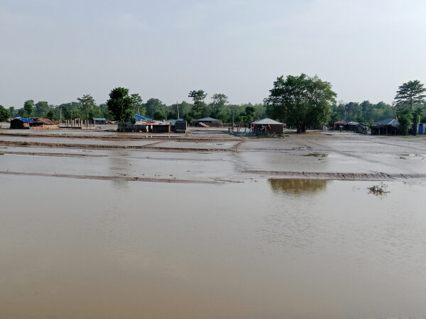 कैलाली, कञ्चनपुरका नदीमा आकस्मिक बाढीको खतरा