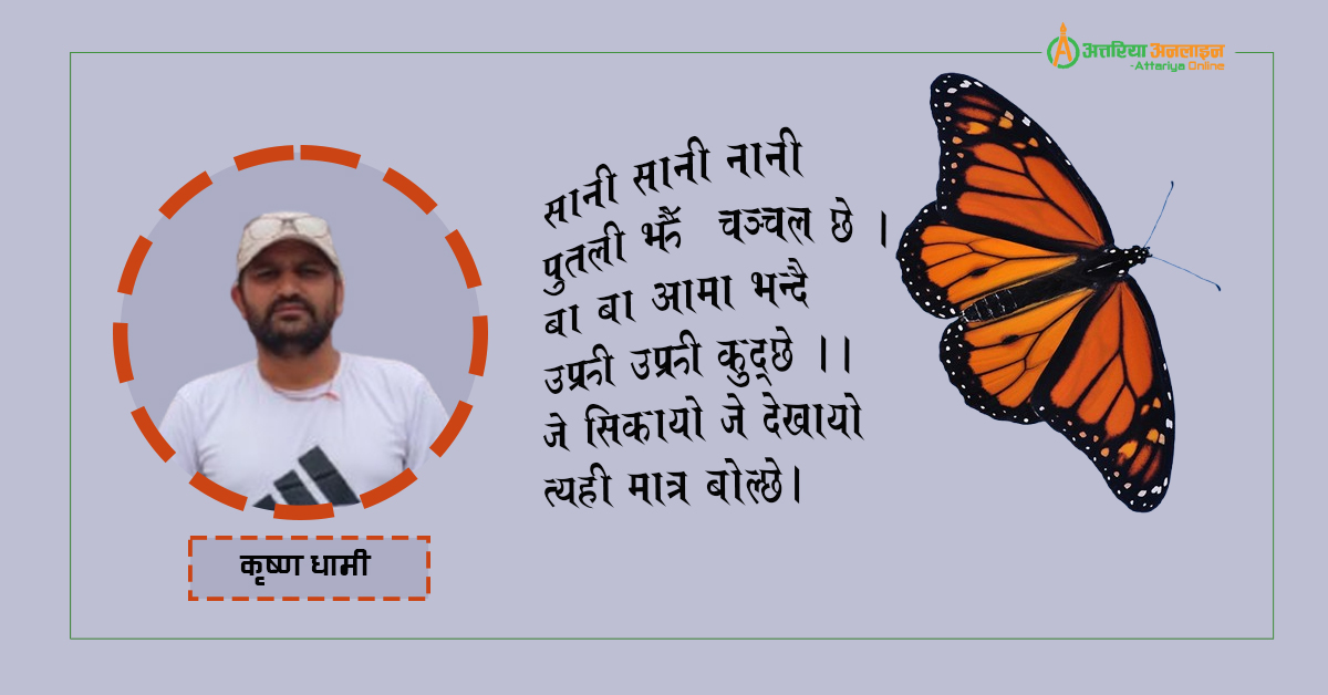प्यारी नानी 