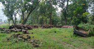 १२ वर्षसम्म पनि बाह्रवनको काठ बिक्री भएन, आधा काठ माटो बन्यो