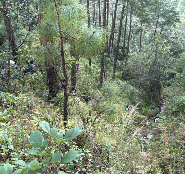 पाल्पामा ईभी भ्यान दुर्घटना हुँद तीन जनाको मृत्यु